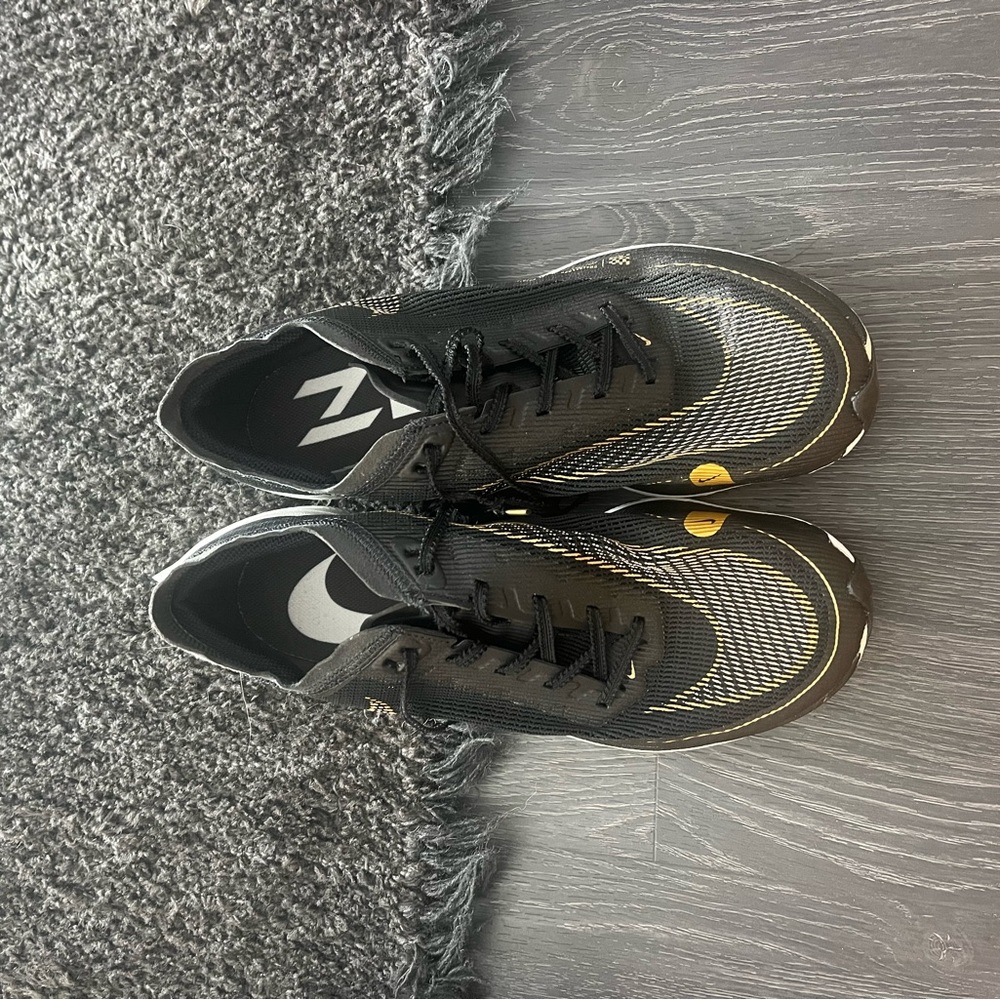 Nike ZoomX vaporfly next% 2
